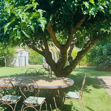 Luxueuse Du Sud فيلة *